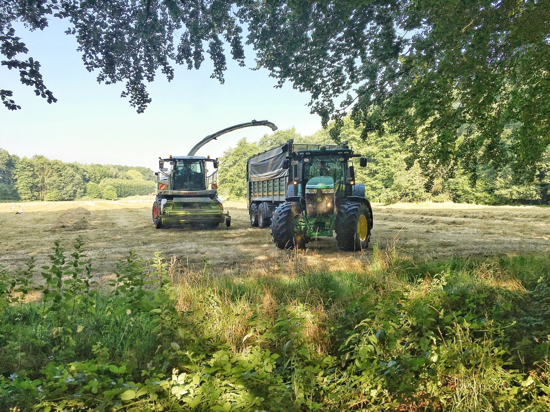 Weniger Platz für die Landwirtschaft / Lokales - IVZ-aktuell